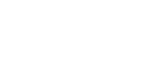 Stier Suplementos